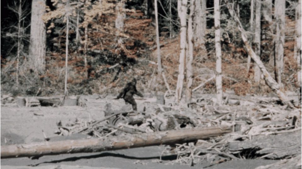 bigfoot roger patterson 1 h